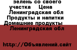 зелень со своего участка  › Цена ­ 1 - Ленинградская обл. Продукты и напитки » Домашние продукты   . Ленинградская обл.